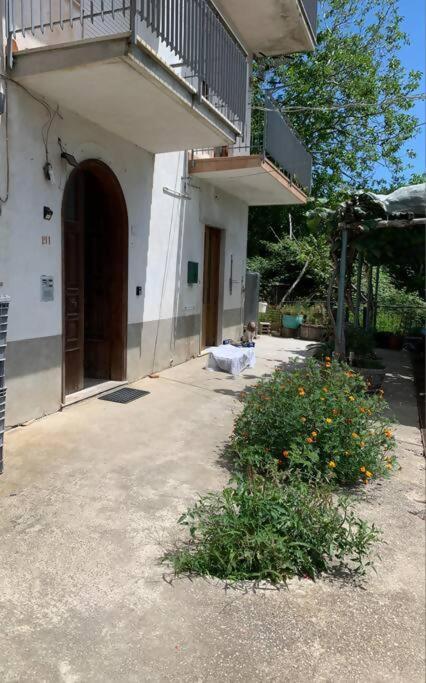 فيلا Wonder House On The Amalfi Coast Pianillo المظهر الخارجي الصورة